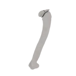 Humerus - Feline - Fracture 11-C3 acc. to AOVet