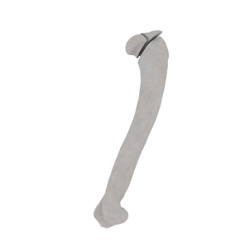 11-a2.250.png