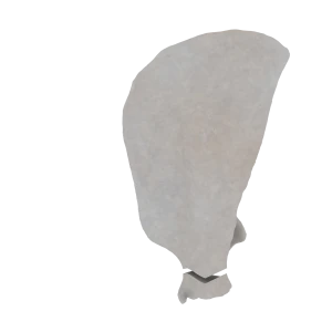 Scapula - Feline - Neck Fracture I