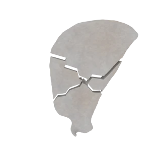 Scapula - Feline - Multifracture of scapular body