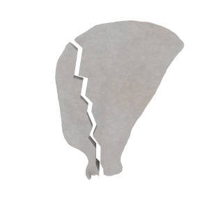 Scapula - Feline - Tuberosity Fracture II