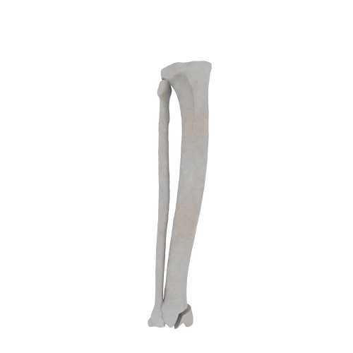 11-a2.656.png