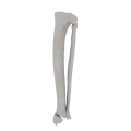 11-a2.659.png