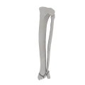 11-a2.675.png