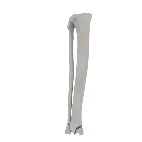 11-a2.662.png