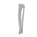 11-a2.663.png