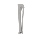 11-a2.667.png