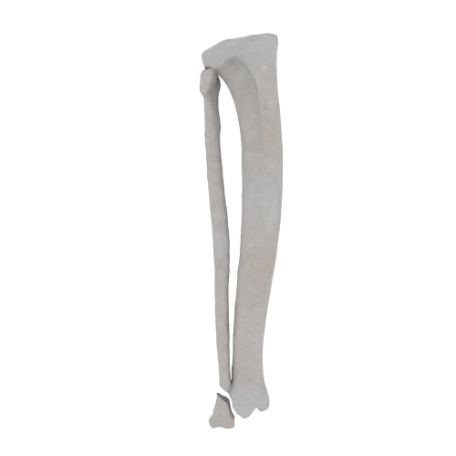 11-a2.651.png