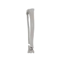 11-a2.645.png