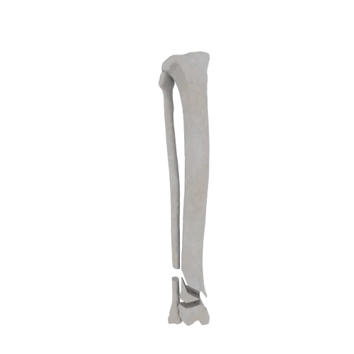 11-a2.645.png