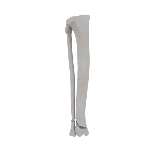 11-a2.640.png