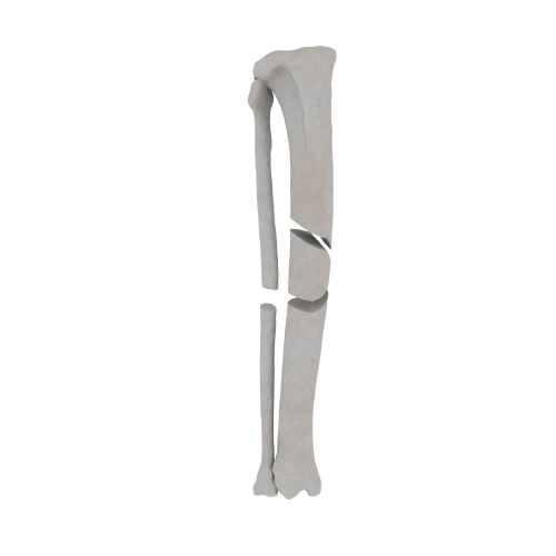 11-a2.624.png