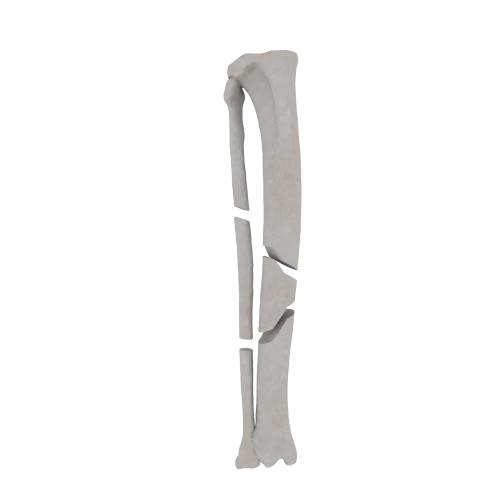 11-a2.629.png