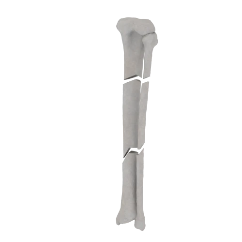11-a2.637.png
