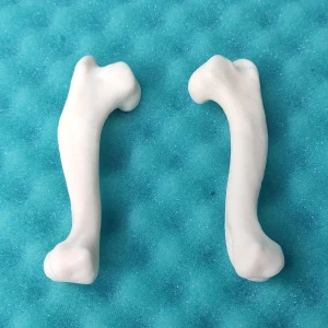 Bulldog - Humerus - Model for Plates Contouring
