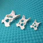 Basic Set of Models for Plates Contouring - Canine Pelvis