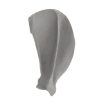 Scapula - Canine
