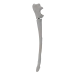 Ulna - Canine - Fracture I 21-A1 acc. to AOVet