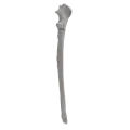 renderowanie kosci.321