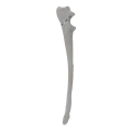 renderowanie kosci.312