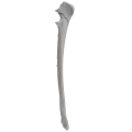 renderowanie kosci.316