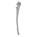 renderowanie kosci.329