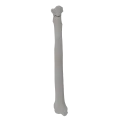 renderowanie kosci.282