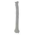 renderowanie kosci.268