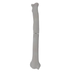 Radius - Canine - Fracture I 22-A1 acc. to AOVet