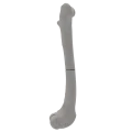 renderowanie kosci.176