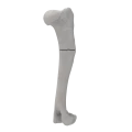 renderowanie kosci.242