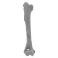 renderowanie kosci.246