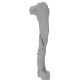 renderowanie kosci.243