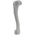 renderowanie kosci.249